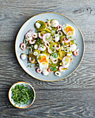 Potato salad with shrimps, radishes, egg and dill