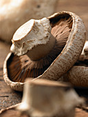 Fresh portobello mushrooms