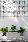 Pflanzenständer, darüber Wanddekoration aus Draht auf Terrasse