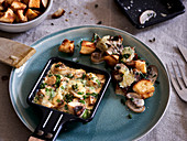 Mushroom raclette with croutons