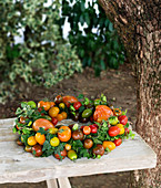 Handmade wreath of ivy and multicoloured tomatoes
