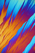 Sulphur crystals,light micrograph
