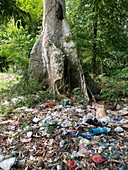 Discarded rubbish,Indonesia