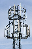 Mobile phone mast