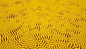 Irregular labyrinth