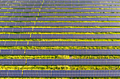 Urban solar farm,Detroit,USA