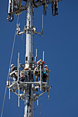 Mobile phone mast maintenance,USA