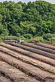 Commercial composting facility,Michigan,USA