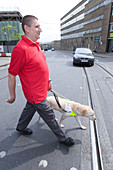 Vision impaired man and guide dog using a pelican crossing