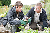 Man with learning disability on allotment