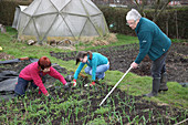 People weeding an allotment