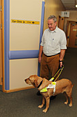Patient with guide dog in corridor of eye clinic