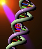 UV damage to DNA molecule,illustration