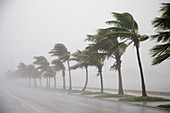 Hurricane Georges,Key West,Florida