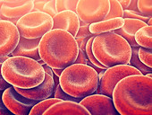 Red blood cells,illustration