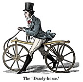 A Dandy-Horse or Draisienne of the type fashionable c1820