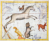 Monoceros, Canis Major and Canis Minor, 1729