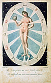 The female form with astrological symbols, 1790