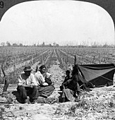 An Italian settler and his family, Mendoza, Argentina, 1900s