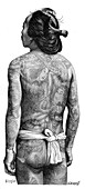 Japanese man with a tattooed back, 1895