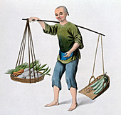 A boy with vegetables, 1800