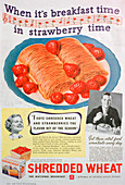 Advert for Shredded Wheat, 1936