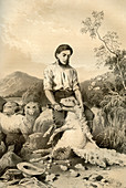 Sheep shearing, 1879