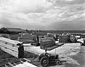 Busy timber yard, Bolton upon Dearne, South Yorkshire, 1960