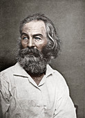 Walt Whitman, American poet, c1880s