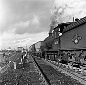 Steam loco hauling coal, Northumberland, 1963