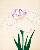 Zama-No-Mori, No 4, 1890, colour woodblock print