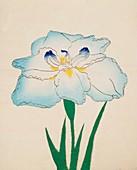 Issui-No-Gin, No 34, 1890, colour woodblock print