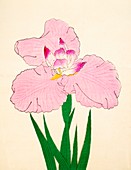 Gaisen, No 90, 1890, colour woodblock print