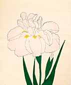 En-Yo-No-Ten, No 73, 1890, colour woodblock print