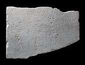Greek inscription The Parian Marble, 264-263 BC