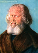 Hieronymus Holzschuher', 1526