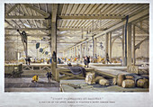 Goods forwarded by railway', 19th century