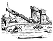 Mangonel, an engine of war in the 15th century, (1870)