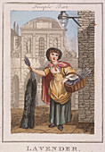 Lavender', Cries of London, 1804
