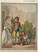 Plate VI of Cries of London, 1799