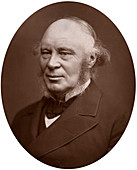 John Fowler, civil engineer, 1882