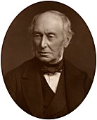 Samuel Morley, MP, industrialist and politician, 1882