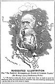 Charles Darwin, English naturalist, 1875