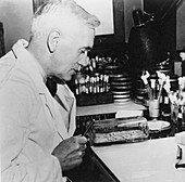 Alexander Fleming, Scottish bacteriologist