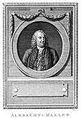 Albrecht von Haller, Swiss physician and scientist, c1770