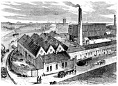 Webb's chemical factory, Diglis, Worcestershire, 1869