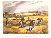 Cyrus McCormick's reaping machine of 1831, c1851.