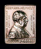 Hermann Ludwig Ferdinand von Helmholtz, c1900