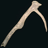 Prehistoric antler pick