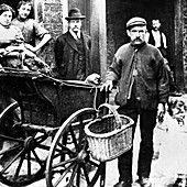 Cat's meat man in an East End street, London, c1902